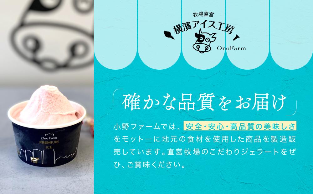 直営牧場搾りたてミルクで作るジェラート（５種 計10個）〈小野ファーム〉
