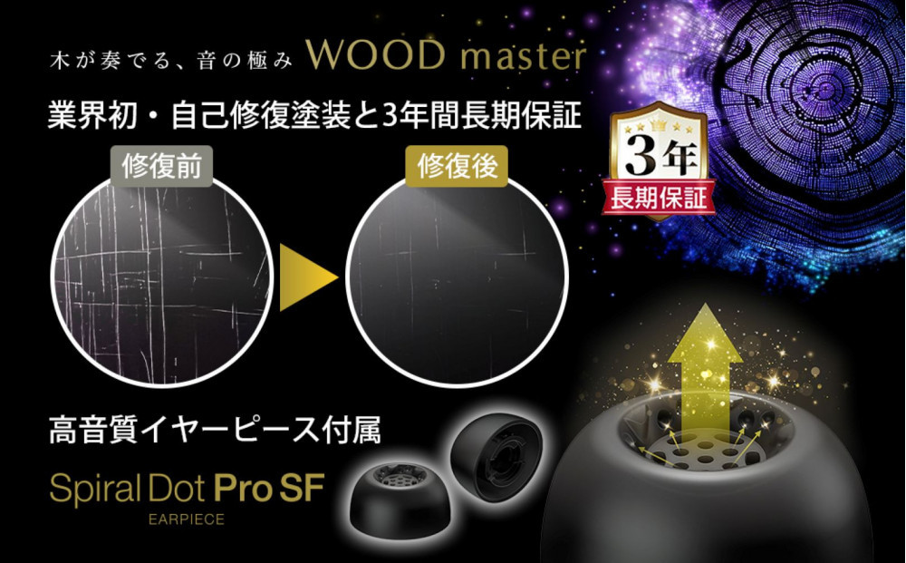 【ピアノブラック】Victor ワイヤレスイヤホン HA-FW5000T