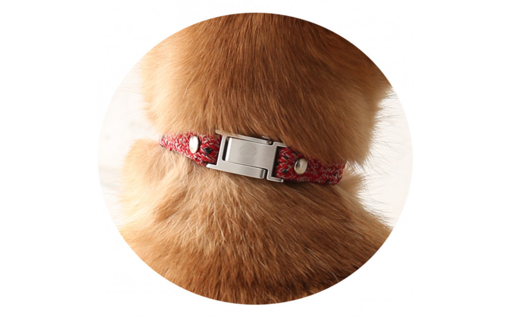 【Size29cm】ザオラル・リカバリーαバンド RD/SI｜横浜市 高機能バンド ペット用アクセサリー