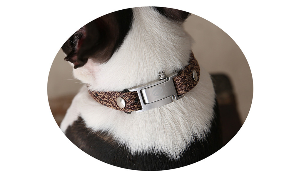 【Size27cm】ザオラル・リカバリーαバンド BR/SI｜横浜市 高機能バンド ペット用アクセサリー