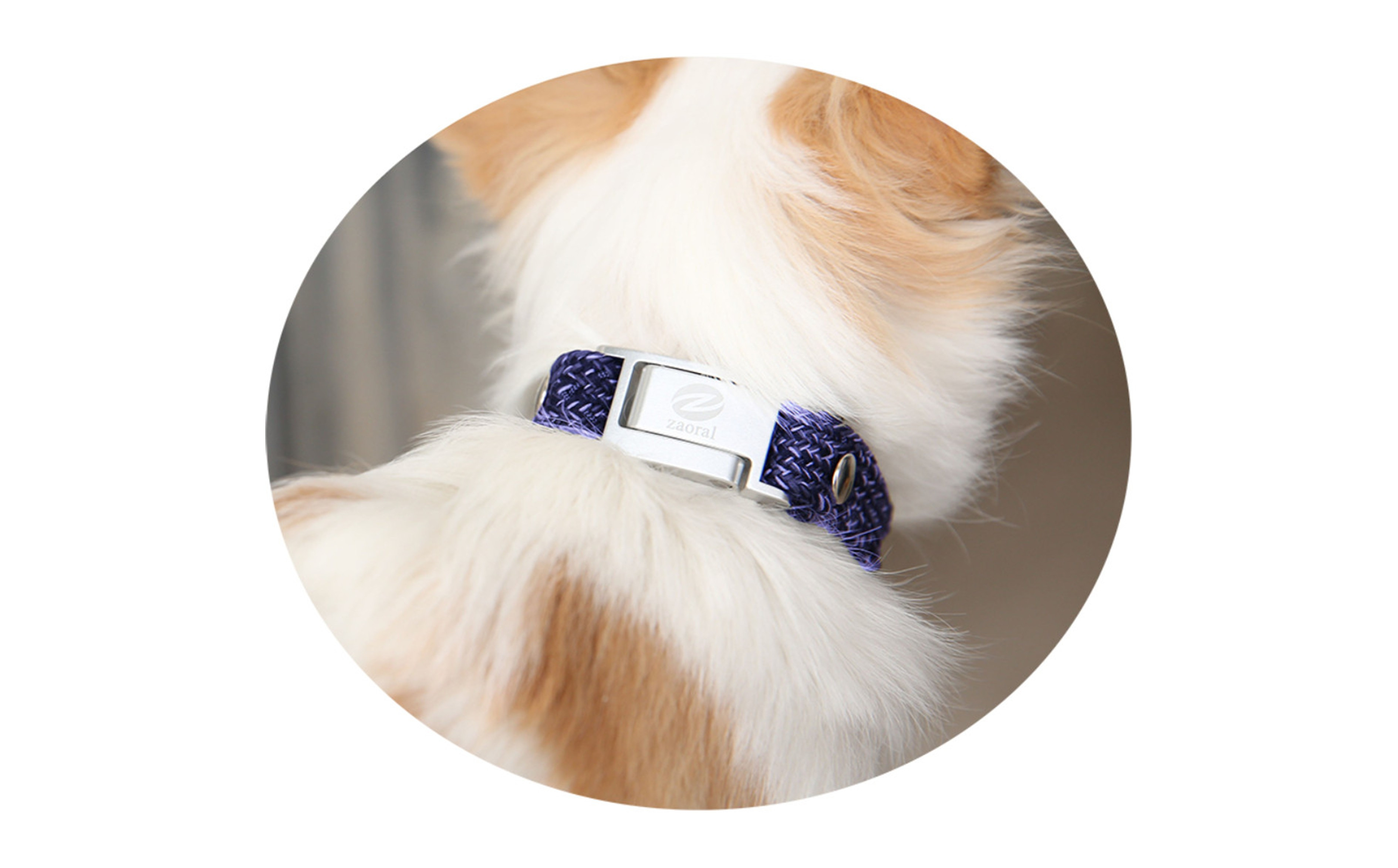 【Size25cm】ザオラル・リカバリーαバンド NV/SI｜横浜市 高機能バンド ペット用アクセサリー