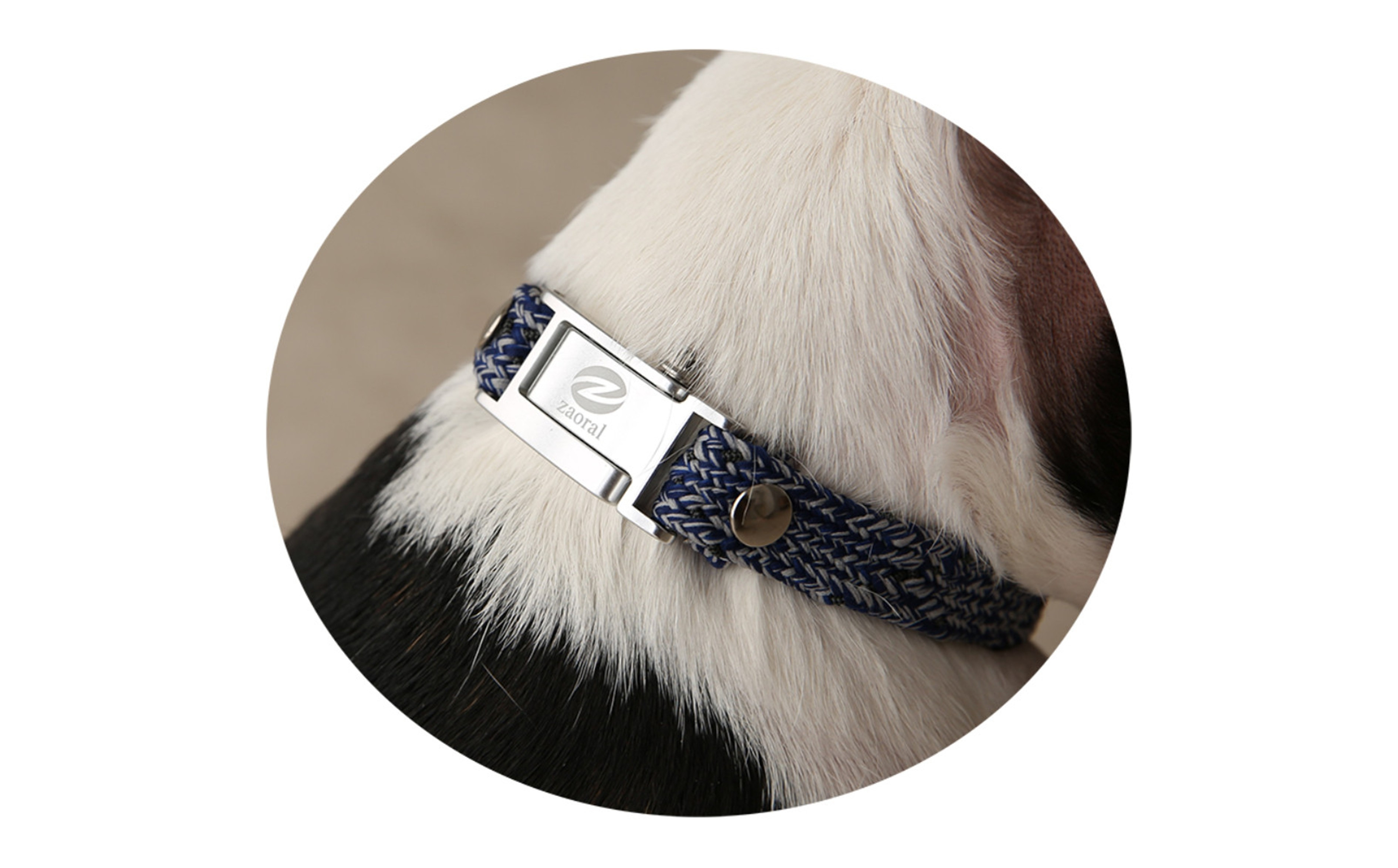 【Size27cm】ザオラル・リカバリーαバンド NV/SI｜横浜市 高機能バンド ペット用アクセサリー