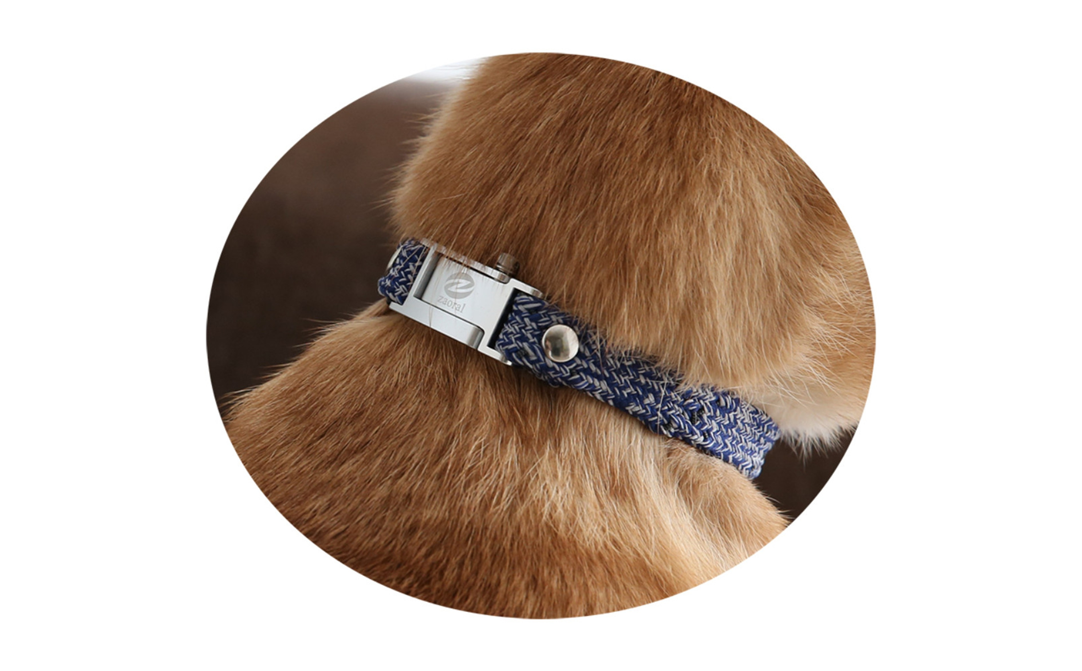 【Sizeオーダーあり】ザオラル・リカバリーαバンド NV/SI｜横浜市 高機能バンド ペットアクセサリーをご希望のサイズでオーダーメイド