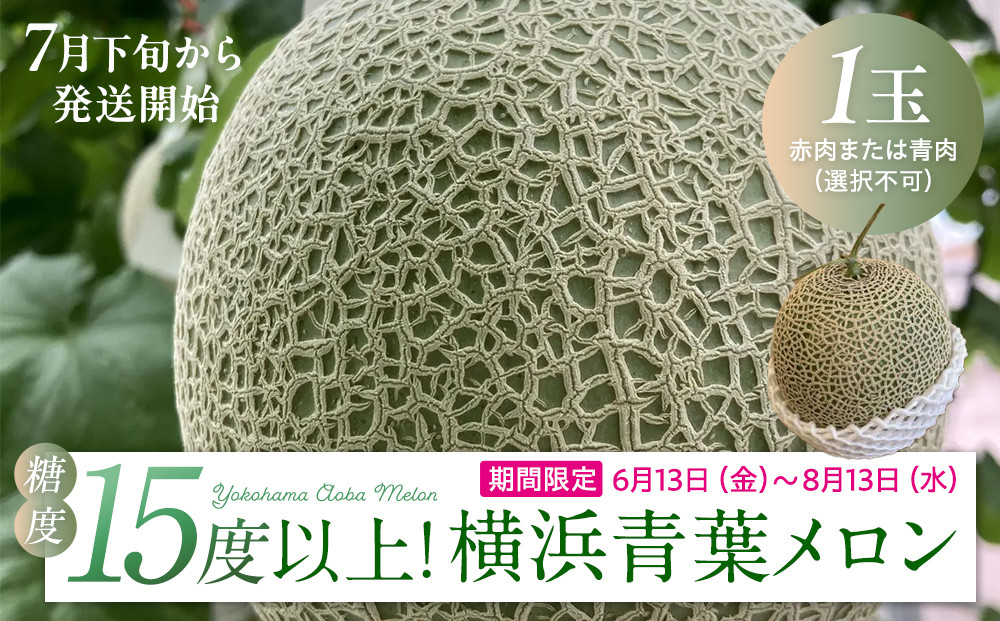 糖度１５度以上！横浜青葉メロン１玉（赤肉または青肉）（7月下旬から発送開始）