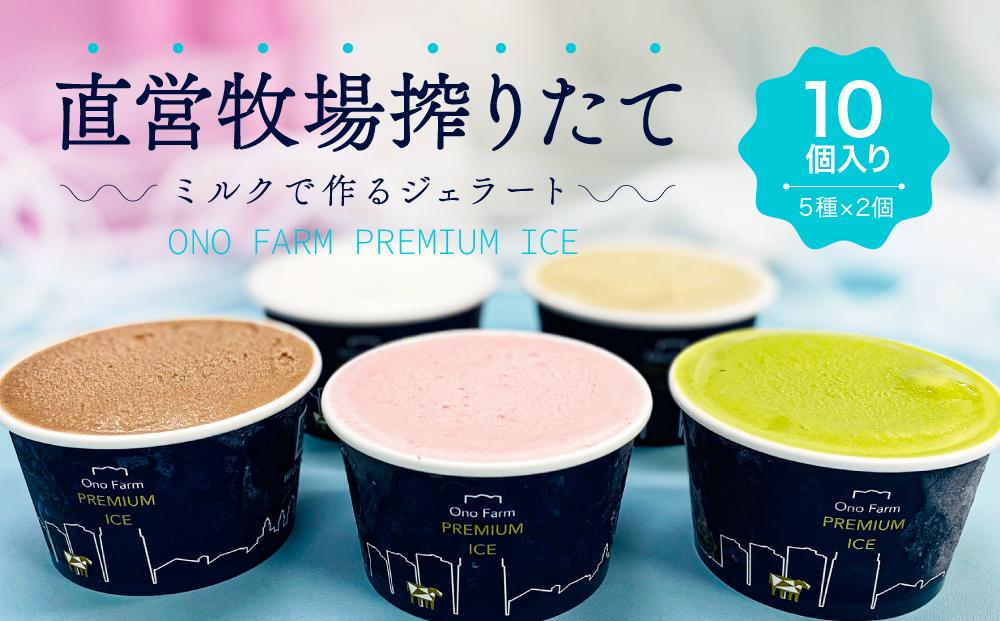 直営牧場搾りたてミルクで作るジェラート（５種 計10個）〈小野ファーム〉