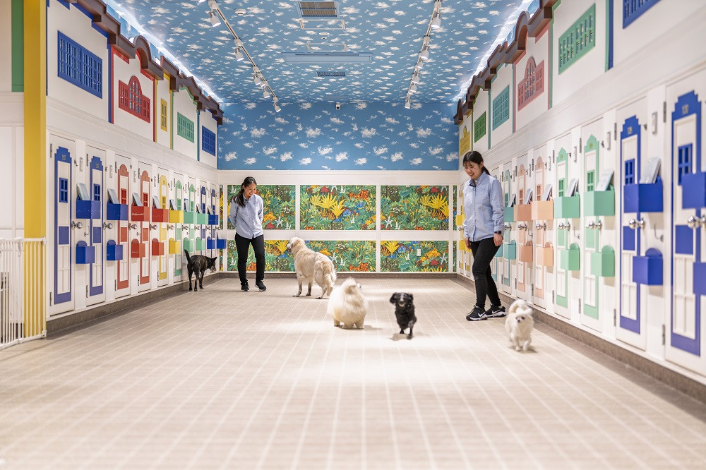 【WANCOTT】ドッグホテル利用券　10,000円分