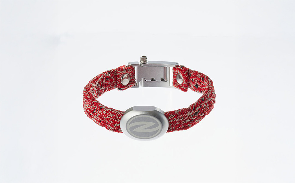 【Sizeオーダーあり】ザオラル・リカバリーαバンド RD/SI｜横浜市 高機能バンド ペットアクセサリーをご希望のサイズでオーダーメイド