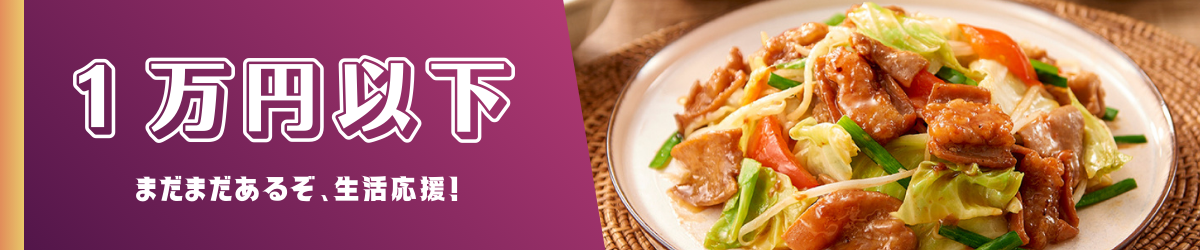 １万円以下特集