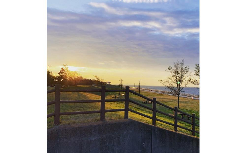 東扇島西公園 手ぶらで釣り体験！