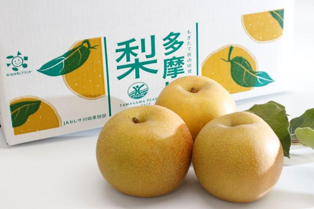 【2026年夏配送】多摩川梨５ｋｇ詰め合わせ
