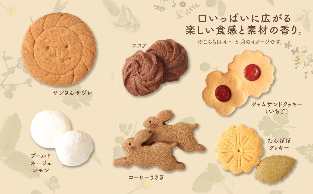 季節の焼き菓子ギフト＜L箱＞