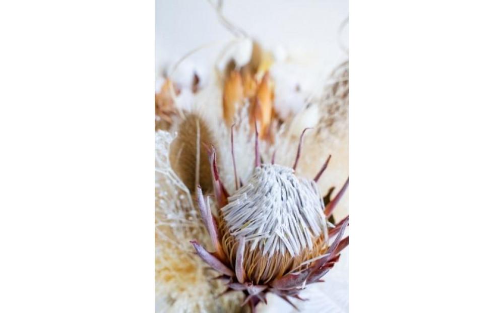 【花瓶アレンジ】ドライフラワーブーケ ベージュ Large