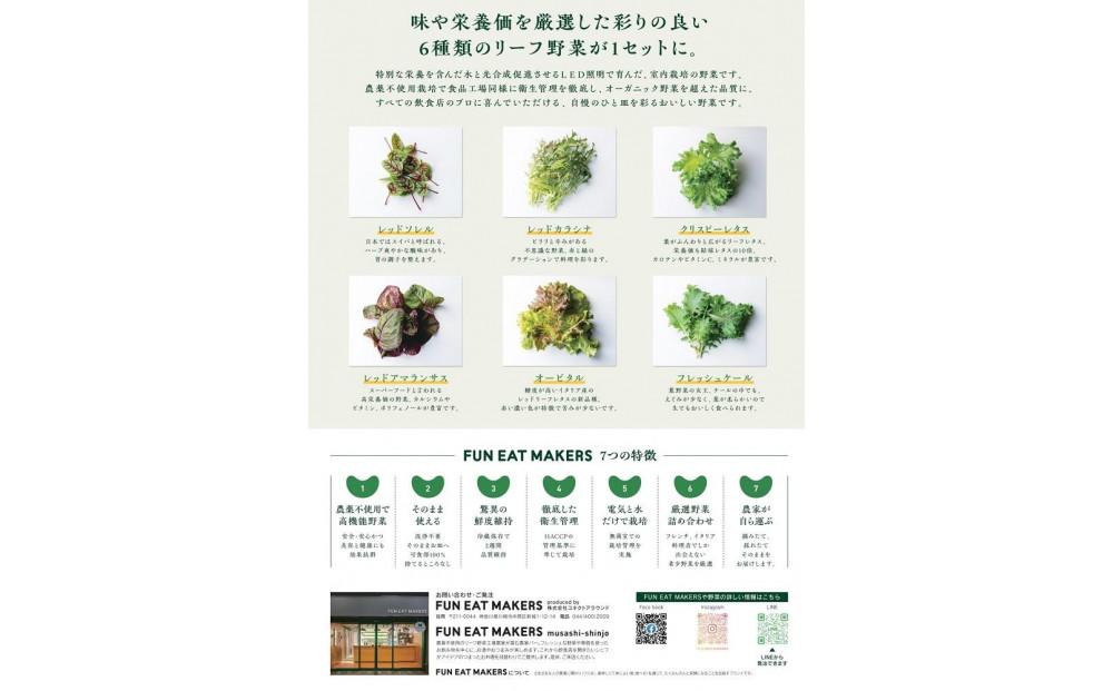 ミシュランシェフ御用達 鮮度2週間 無農薬6種リーフ500g