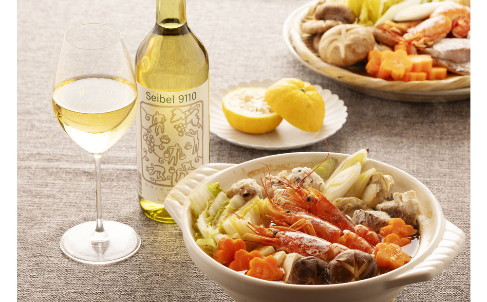 林農園 五一わいん 酸化防止剤無添加 セイベル9110 白 辛口 720ml 2本 発売元 株式会社片山