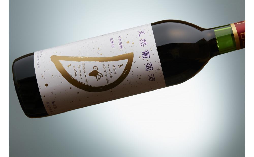 天然ワイン醸造 酸化防止剤無添加 天然葡萄酒 赤 甘口 コンコード 720ml × 2本 発売元 株式会社片山