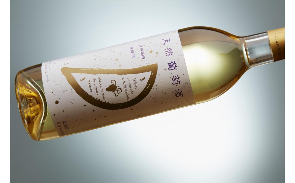 天然ワイン醸造 酸化防止剤無添加 天然葡萄酒 白 甘口 デラウェア 720ml × 2本 発売元 株式会社片山