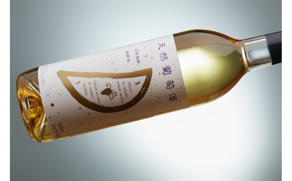 天然ワイン醸造 酸化防止剤無添加 天然葡萄酒 白 辛口 デラウェア 720ml × 2本 発売元 株式会社片山