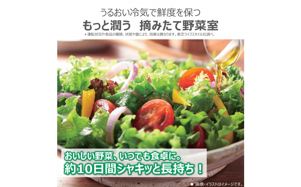 東芝　冷蔵庫【標準設置費込み】　461L　6ドア　両開き　冷凍冷蔵庫　GR-Y460FZ(UC)