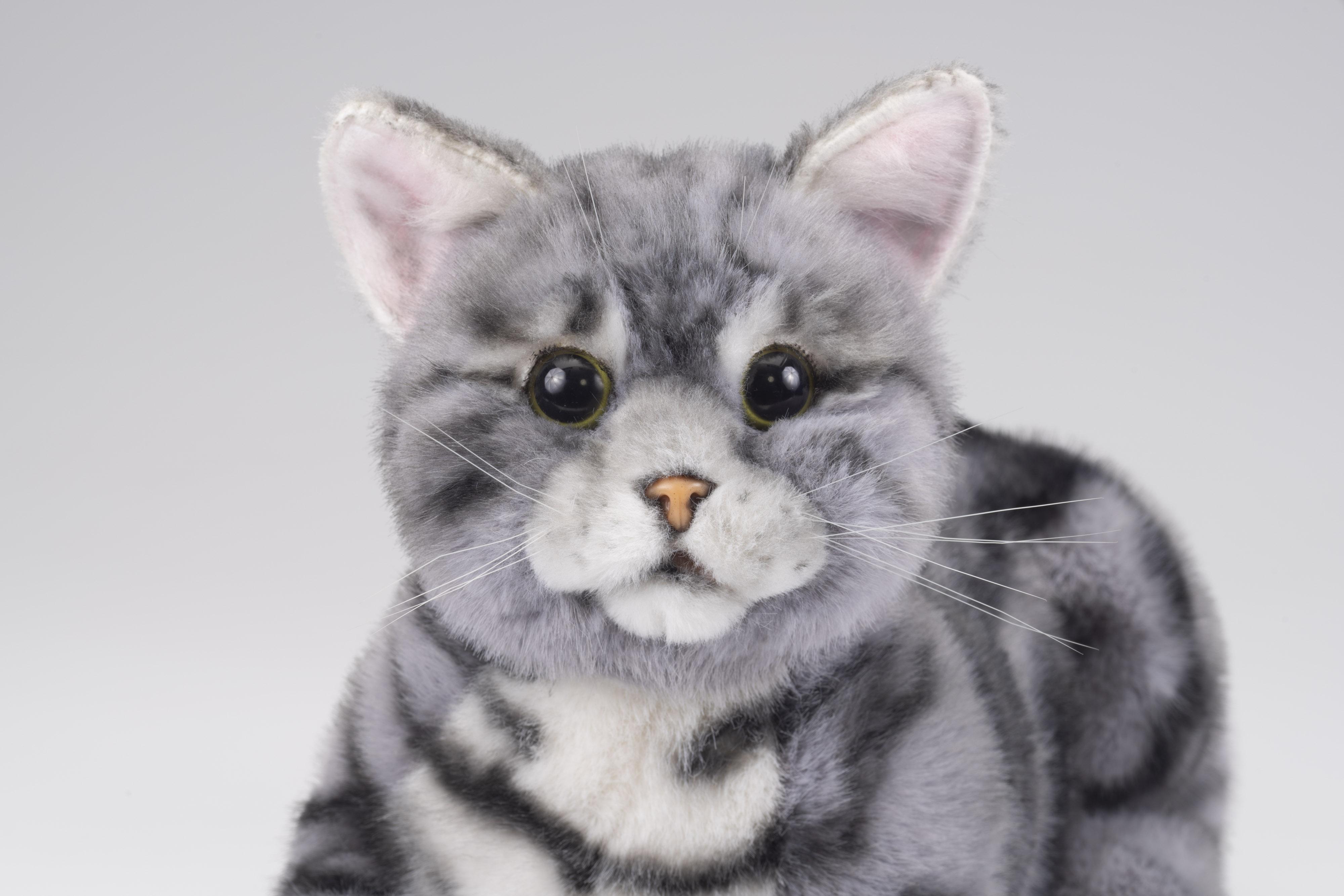 川崎市のロボットメーカーが作る、シニア向けペットの代理ロボット！なでなでねこちゃんEXシリーズ　（アメショー）