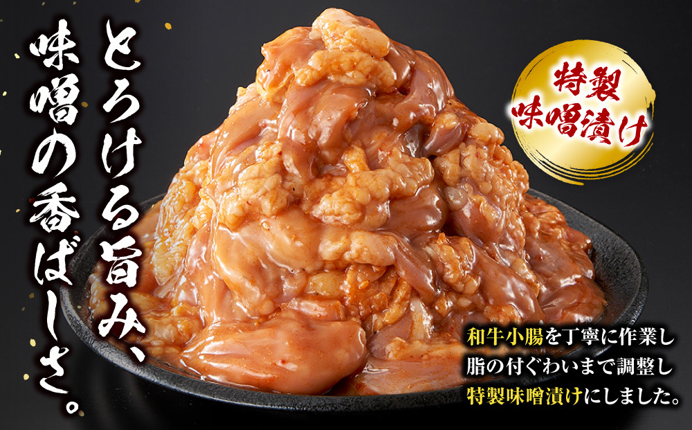 ＜訳アリ＞和牛トロホルモン　特製味噌漬け　1.2kg(300g×4） 【順次発送】原則1か月以内に発送 1.2kg ( 300g × 4パック ）