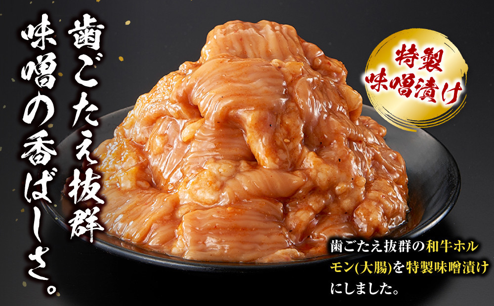 ＜訳アリ＞和牛ホルモン（大腸）　特製味噌漬け　0.9kg(300g×3）【2026年9月発送】