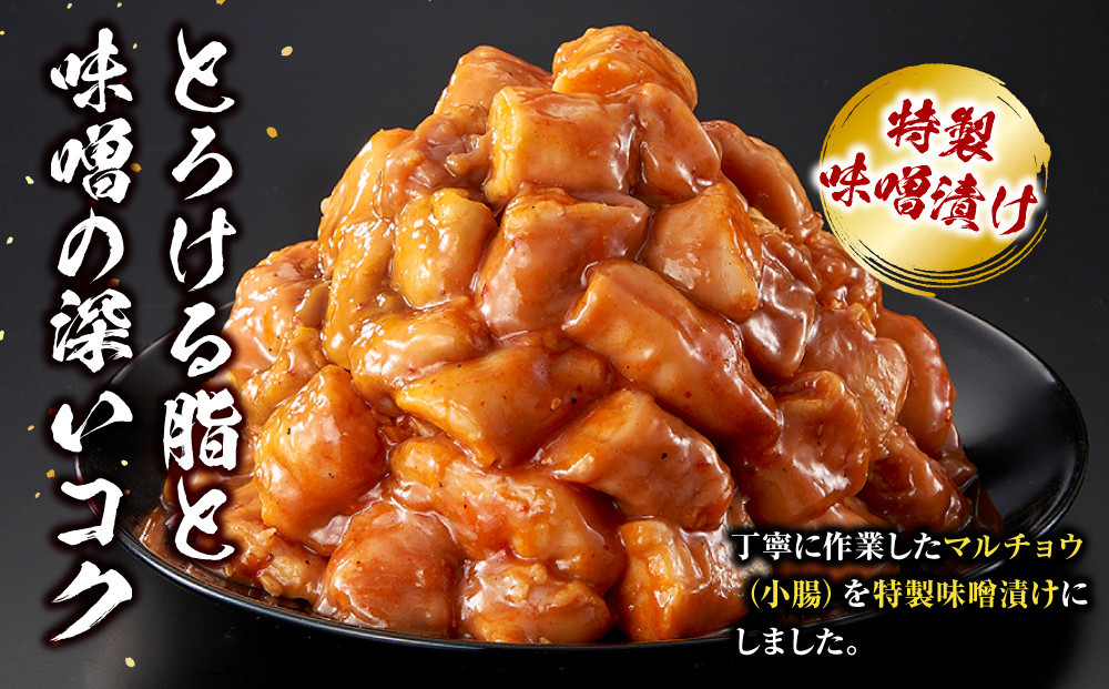 ＜訳アリ＞牛マルチョウ　特製味噌漬け　0.9kg(300g×3）【2026年7月発送】 【2026年7月発送】 900g ( 300g × 3パック )