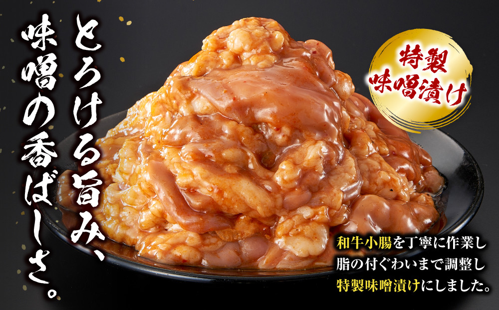 ＜訳アリ＞和牛トロホルモン　特製味噌漬け　0.3kg(300g×1）【順次発送】 【順次発送】原則1か月以内に発送 300g ( 300g × 1パック ）