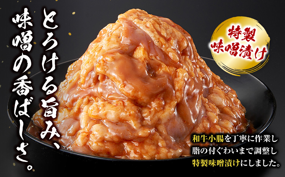 ＜訳アリ＞和牛トロホルモン　特製味噌漬け　0.9kg(300g×3） 【順次発送】原則1か月以内に発送 900g ( 300g × 3パック ）