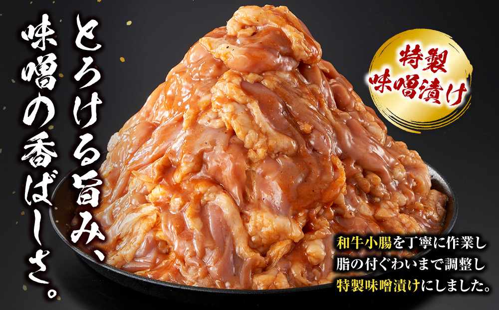 ＜訳アリ＞和牛トロホルモン　特製味噌漬け　3kg(300g×10）【順次発送】 【順次発送】原則1か月以内に発送 3kg ( 300g × 10パック ）