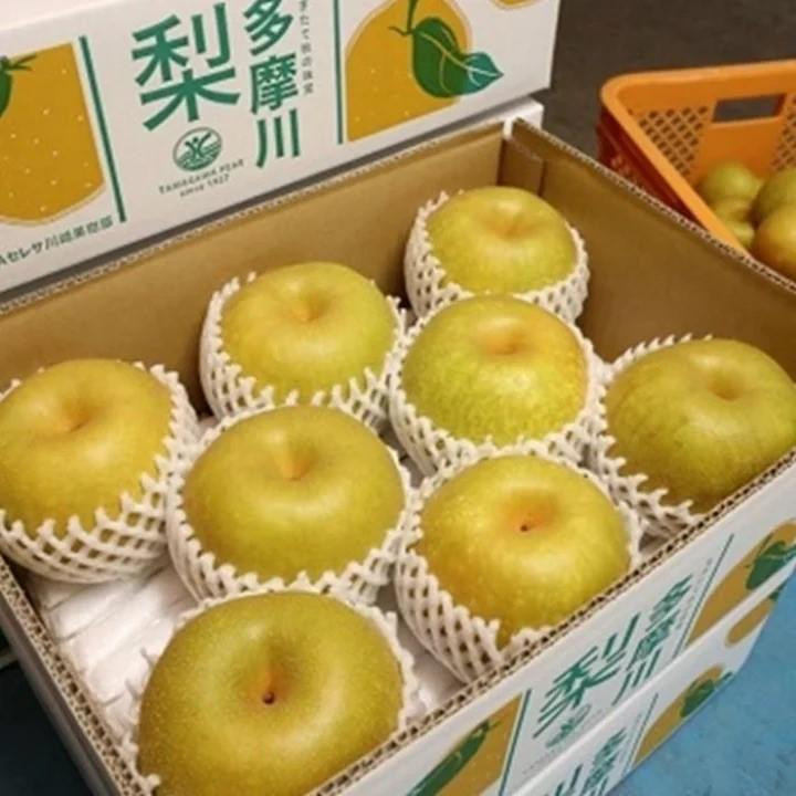 【2026年夏配送】多摩川梨５ｋｇ詰め合わせ