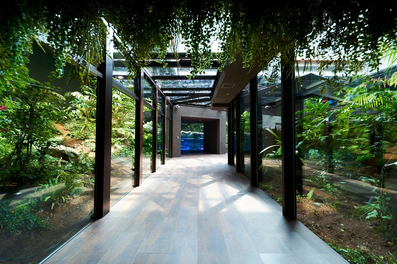 カワスイ 川崎水族館ペアチケット