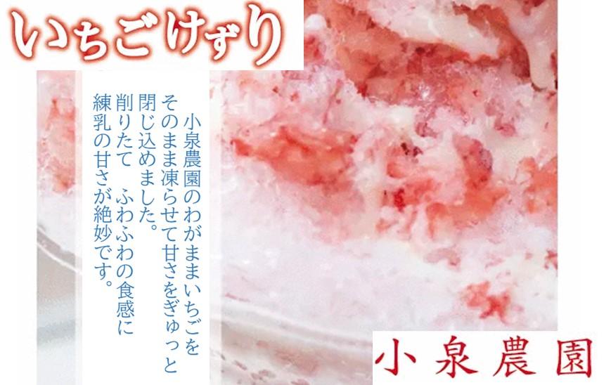 小泉農園ジェラートとイチゴ削り　8個セット