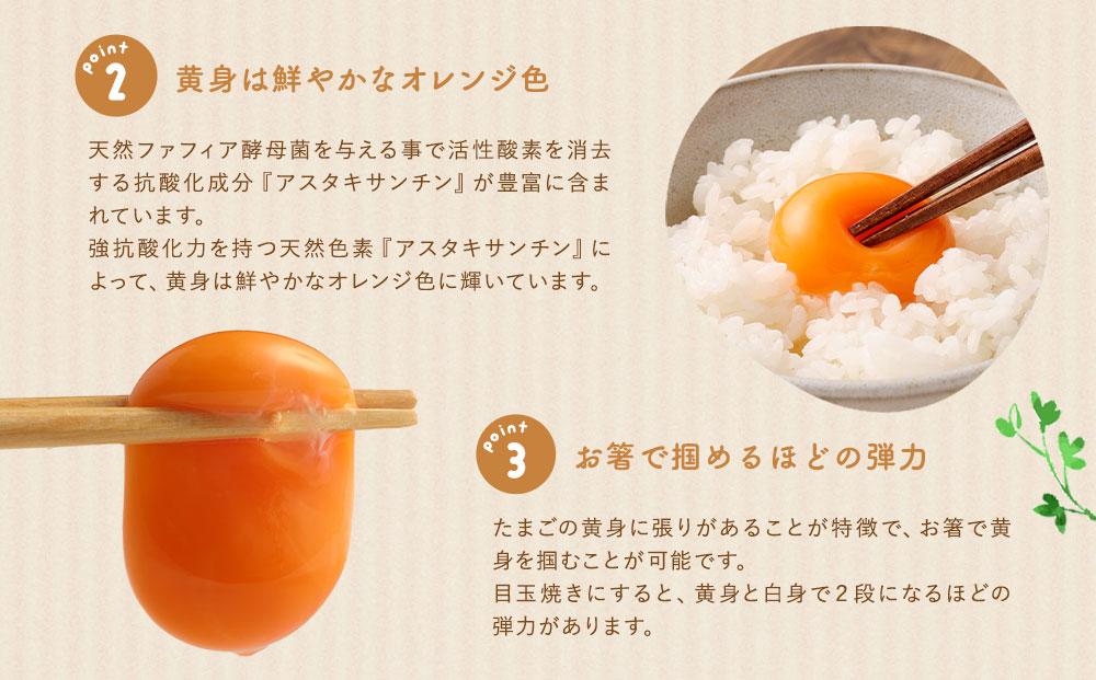 単なる平飼いではない究極の卵『わたしたちのぷらいどたまご』6パック（60個）セット