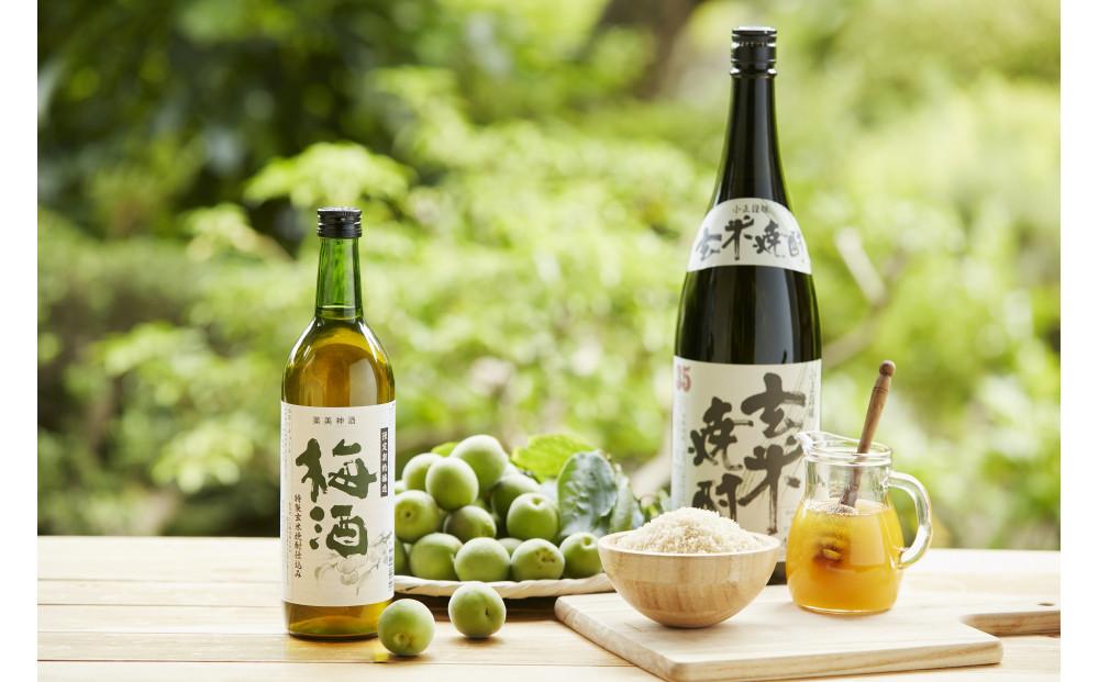 特製 玄米焼酎仕込み 梅酒 720ml × 2本 リキュール 小正醸造 和蔵の稔りブランド 発売元 株式会社片山