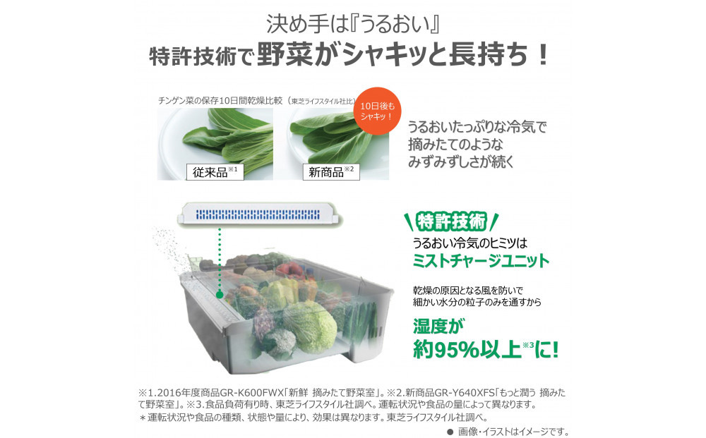 東芝　冷蔵庫【標準設置費込み】　643L　6ドア　両開き　冷凍冷蔵庫　GR-Y640XFS(TH)