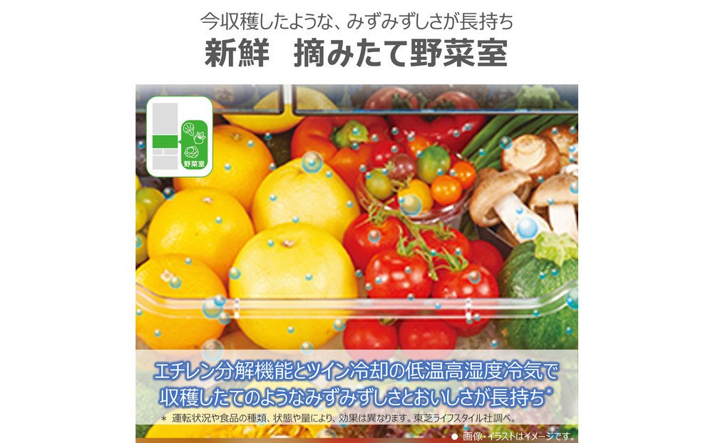 東芝 冷蔵庫 【標準設置費込み】 509L 6ドア 両開き 冷凍冷蔵庫 GR-Y510FK(EC)