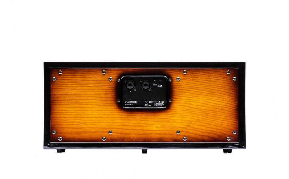 MUSICLIFE ML-2 -sunburst-