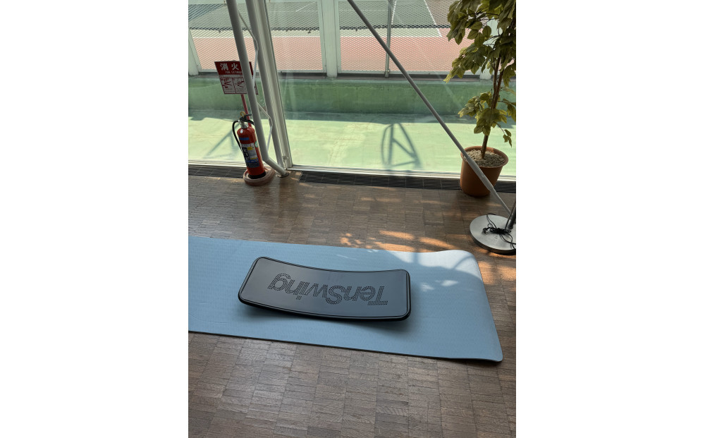 【ふるさと納税】ゴルフ上達＆転倒予防に「TenSwingボードミニ」：【増田哲仁プロ監修】