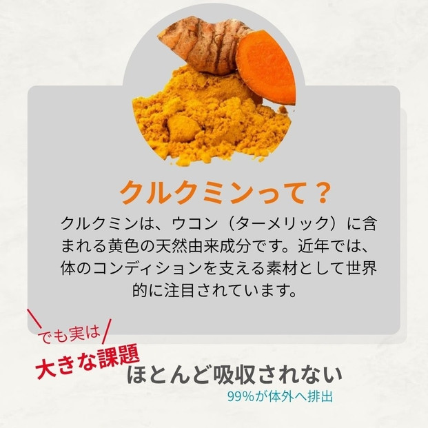 高吸収型クルクミン　クルクルージュ62粒入り1本