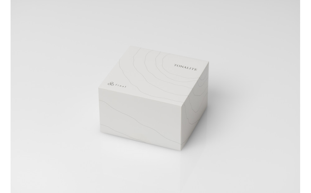 フラッグシップ完全ワイヤレスイヤホン final TONALITE トナリテ/ZE8000 後継機/LDAC対応/音色 パーソナライズ/音楽/ノイキャン/超高音質