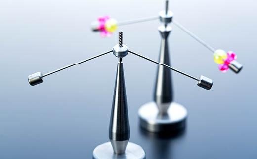 【かわさきマイスター考案】やじろべえゴマ（台先広いタイプ）