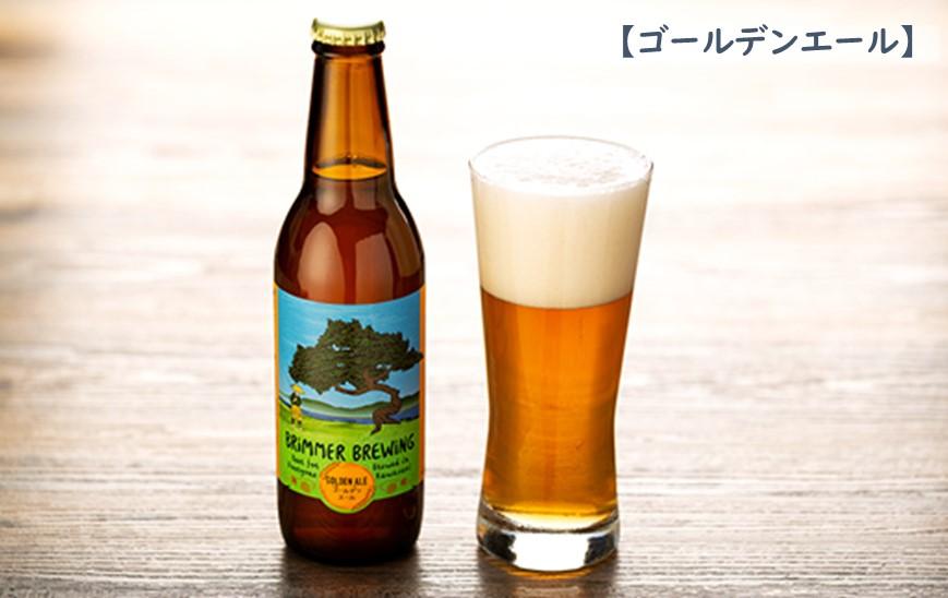 川崎のクラフトビール　ブリマーブルーイング　ビール12本セット