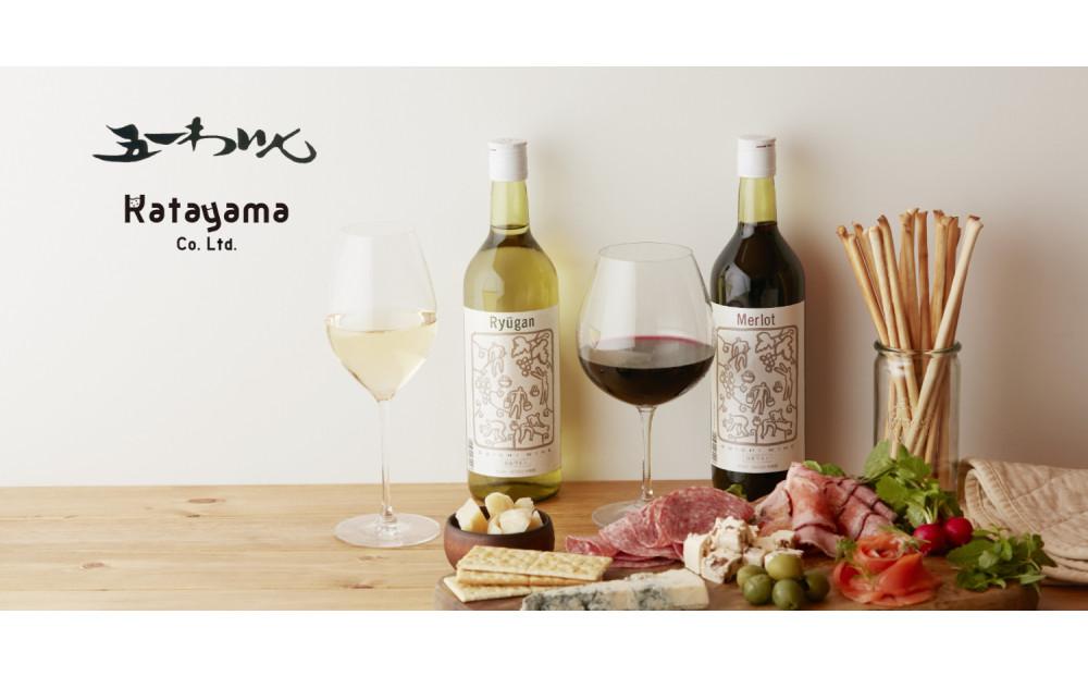 林農園 五一わいん 酸化防止剤無添加 竜眼 白 辛口 720ml 2本 発売元 株式会社片山