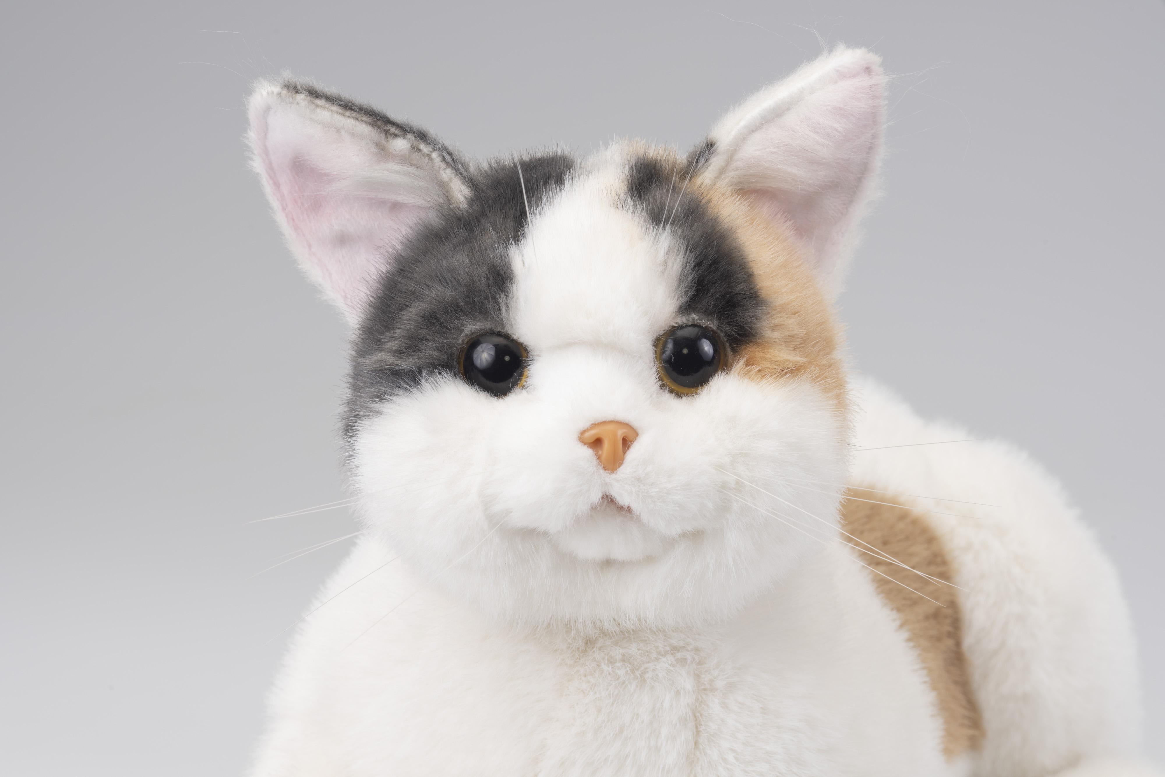 川崎市のロボットメーカーが作る、シニア向けペットの代理ロボット！なでなでねこちゃんEXシリーズ　（みけ）