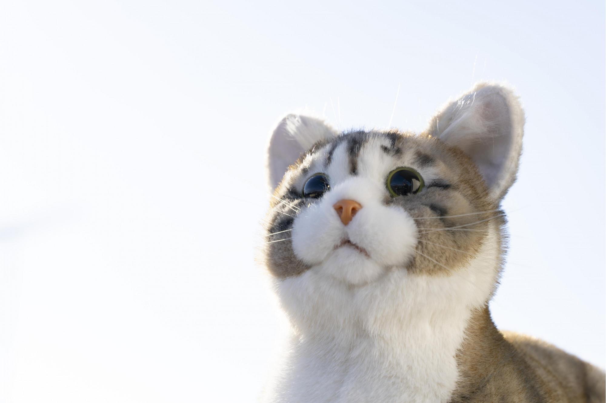 川崎市のロボットメーカーが作る、シニア向けペットの代理ロボット！なでなでねこちゃんEXシリーズ（キジトラ）