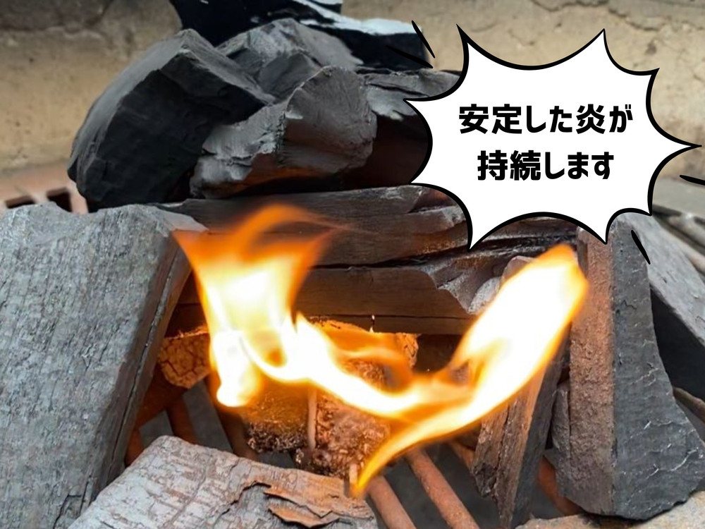 みんなでつくる着火剤 （３本入り）２０袋