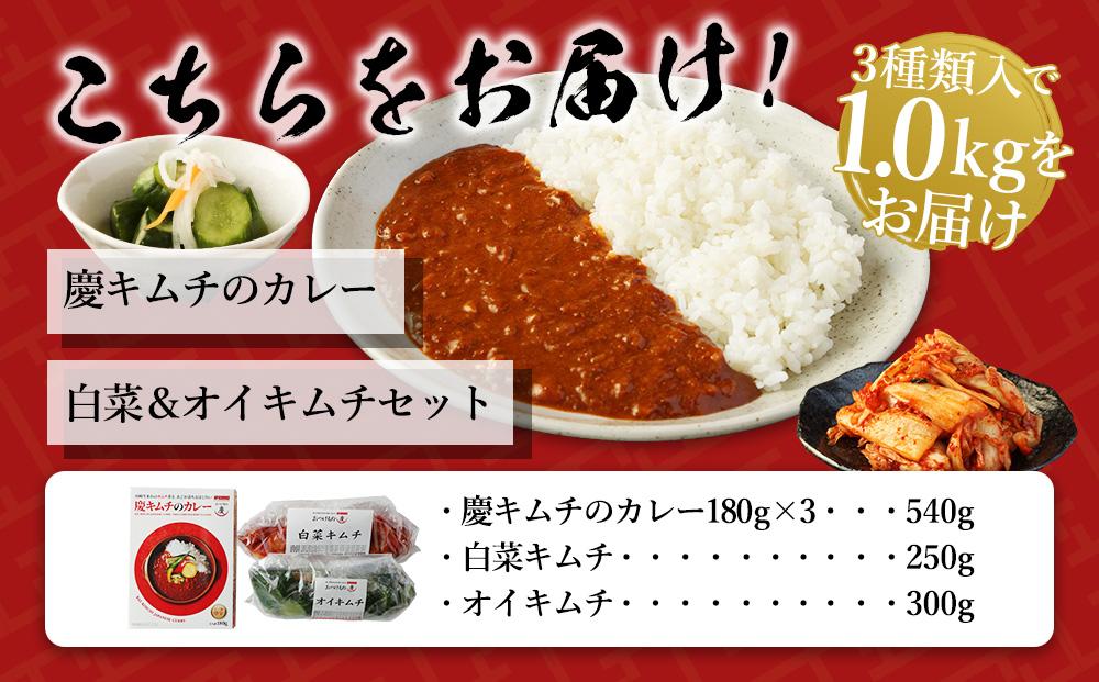 「慶」キムチのカレーと白菜＆オイキムチセット
