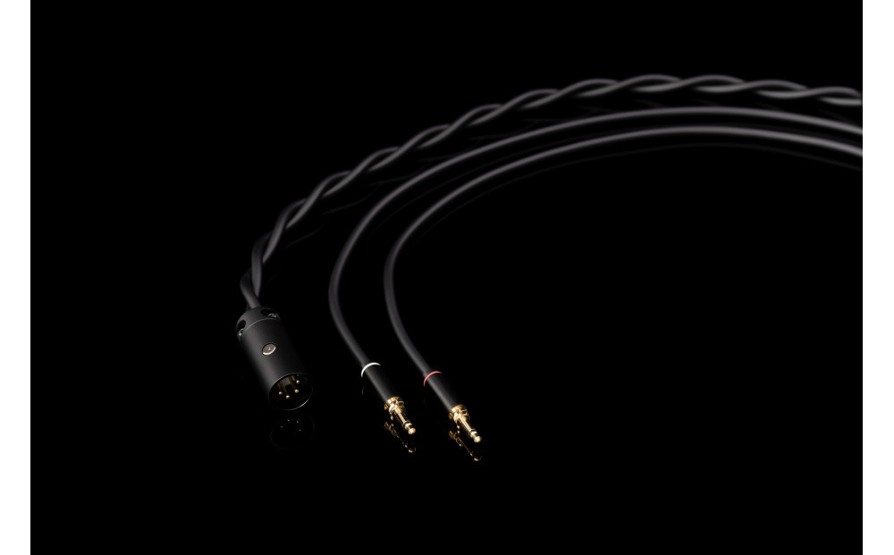 AFDS平面磁界型ヘッドホン final D8000 DC