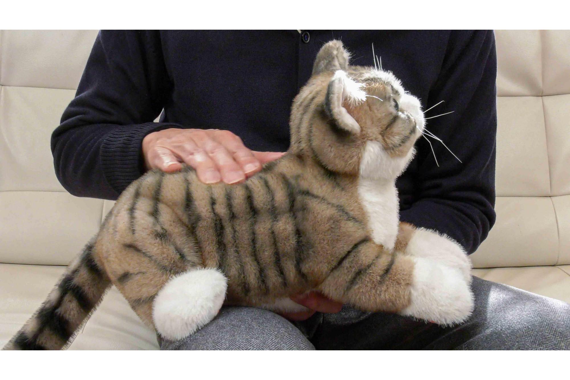 川崎市のロボットメーカーが作る、シニア向けペットの代理ロボット！なでなでねこちゃんEXシリーズ（キジトラ）