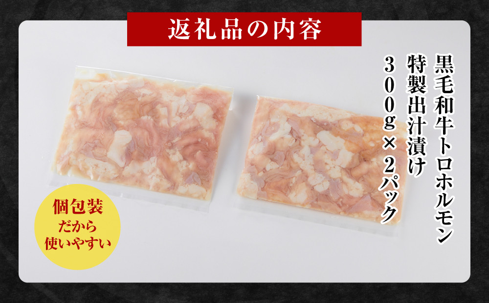 黒毛和牛トロホルモン（小腸）　特製だし0.6kg ( 300g ×2パック )【2026年7月発送】